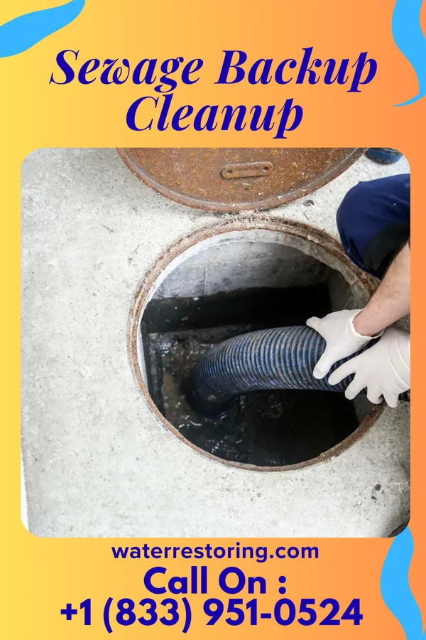 Sewage Backup Cleanup in Reminderville, OH