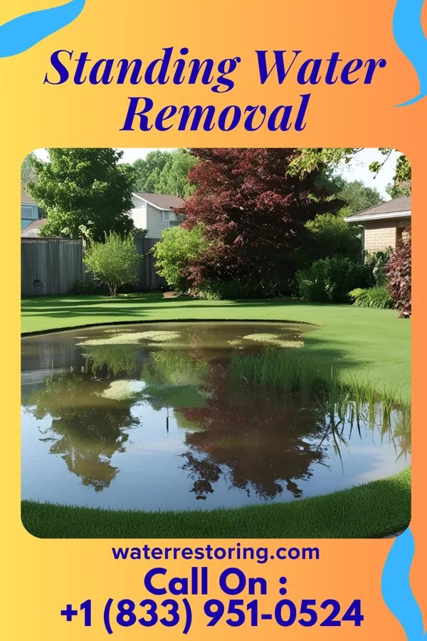 Standing Water Removal in Reminderville, OH